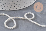 Perles Agate naturelle grise facettées 3mm, x1 fil de 38cm (G11095)