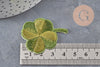 Ecusson brodé à repasser trèfle à 4 feuilles chance 47.5mm, x1 (G11084)
