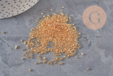 Perles Miyuki Delica 11/0 DB0034 - 24kt Gold Light Plated, x5gr(G11296)