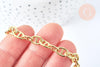 Bracelet chaine maille marine laiton doré 18k 18.5cm, x1 (G6959)