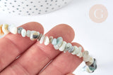 Bracelet de cheville perles amazonite naturelle laiton et acier inoxydable platine 21.5cm, x1 (G7792)