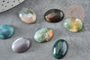 Cabochon ovale agate mousse vert foncé naturel 18x13mm, x1 (G8221)