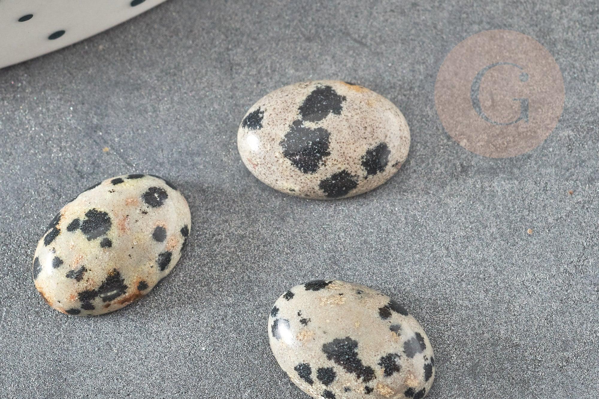 Cabochon ovale jaspe dalmatien naturel 10x14mm, x1 (G1568)