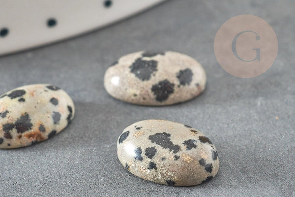 Cabochon ovale jaspe dalmatien naturel 10x14mm, x1 (G1568)
