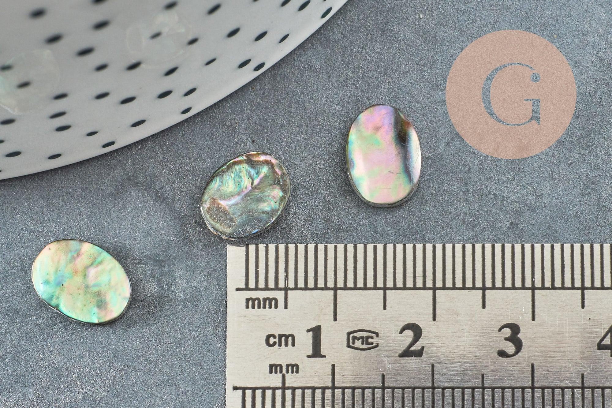 Cabochon ovale nacre noire ormeau naturel 10x8mm, x1 (G8687)