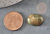 Cabochon ovale unakite naturelle 18x13mm, x1 (G2482)