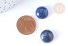 Cabochon rond Lapis Lazulis naturel 14mm, x1 (G7095)