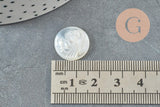 Cabochon rond Vierge Marie nacre blanche naturelle gravé 16mm, x1 (G9629)