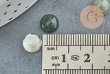 Cabochon rond agate mousse verte 8mm, x1 (G2422)