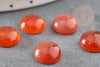Cabochon rond agate naturelle orange 10mm, x1 (G0606)