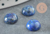 Cabochon rond bleu lapis lazulis naturel 8mm, x1 (G0394)