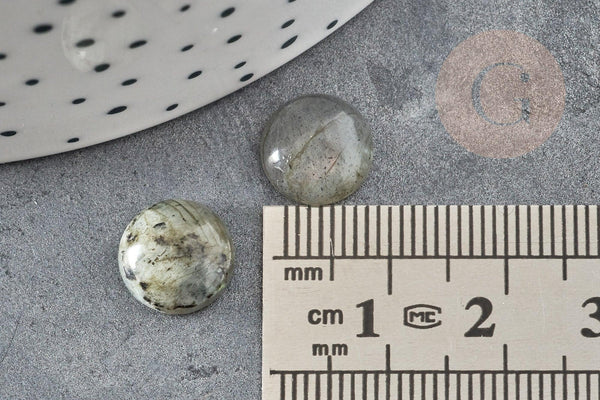 Cabochon rond labradorite naturelle 10mm, x1 (G5021)