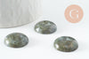 Cabochon rond labradorite naturelle 20mm, x1 (G9614)