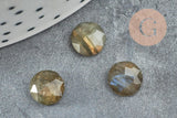 Cabochon rond labradorite naturelle à facettes 8mm, x1 (G5639)