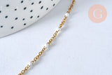Collier Chaine acier 304 inoxydable doré 14k résine blanche 2mm-45cm, x1 (G1732)