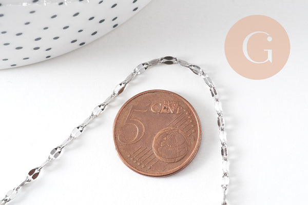 Chaine complète avec fermoir acier inoxydable platine 45cm, x1 (G6566)