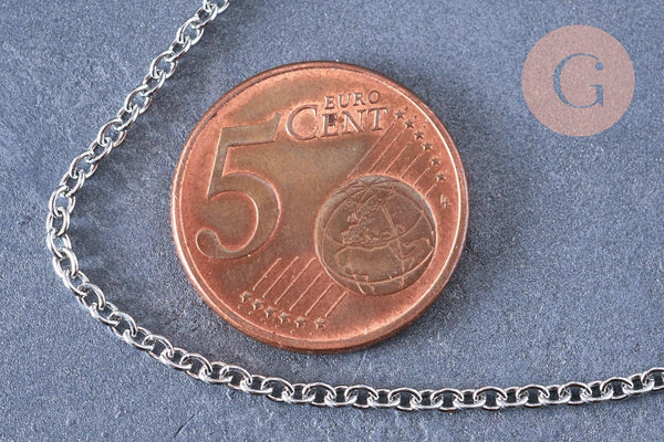 Chaine complète avec fermoir forçat acier 304 inoxydable platine 45cm, x1 (G1864)