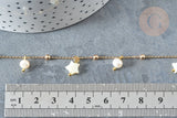 Collier Chaine de cheville laiton doré étoile nacre perle eau douce 24.8cm, x1 (G7880)