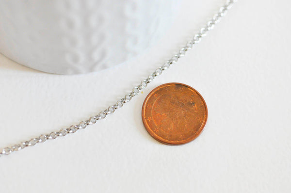 Chaine rollo fer platine 2.5 mm, x 5mètres (G1507)