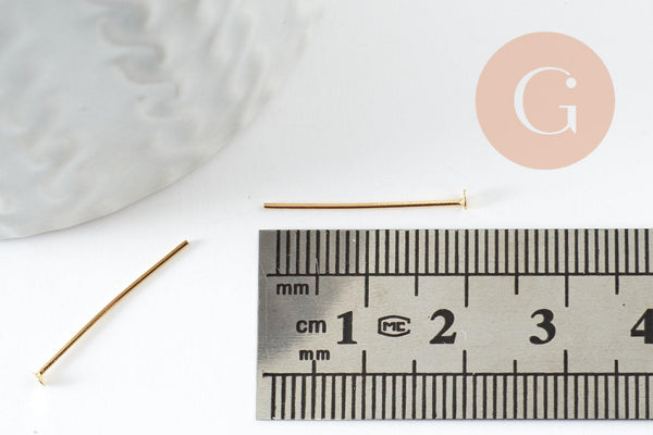 Clous tige tête clou acier 304 inoxydable 20mm, x10 (G9464)