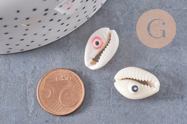 Coquillage cauris ouvert oeil chance 18-22mm,x10 (G2058)