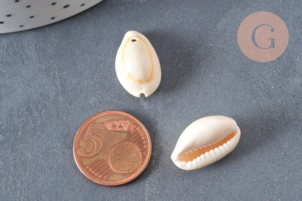 Coquillages cauris naturels percés, x10-50-100 ou 200 (G0583)