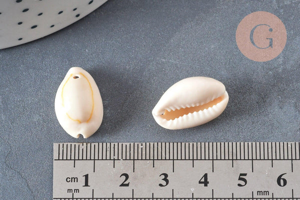 Coquillages cauris naturels percés, x10-50-100 ou 200 (G0583)