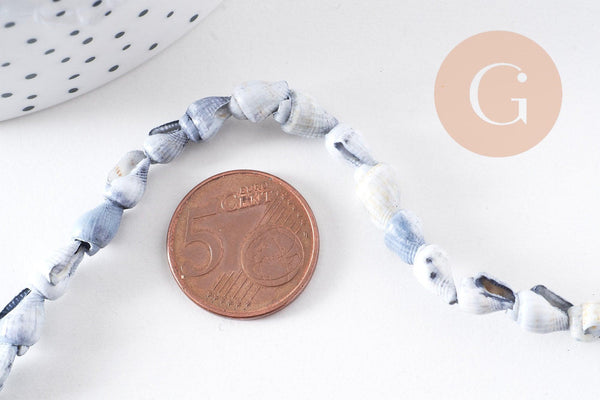 Coquillages percés gris, coquillages naturels,création bijoux, bijoux plage,vacances,bijou coquillage, x1 fil de 135 (G0801)