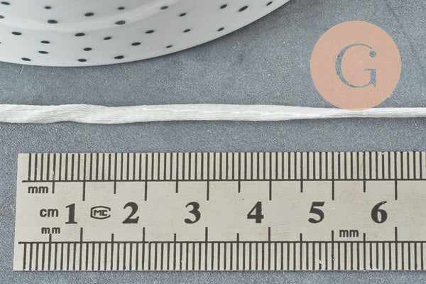 Cordon queue de rat satin blanc 2mm, x1 ou x5 ou x10 mètres (G1105)