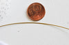 EP Fil nylon 2m métallique acier doré 0,6mm G3791