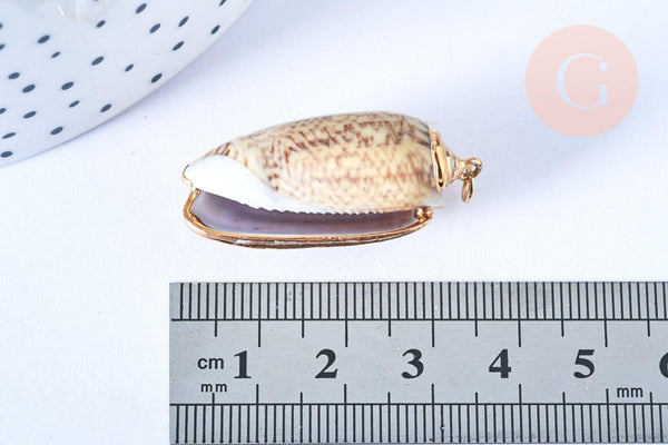 EP-Pendentif coquillage naturel spirale beige doré 31-36.5mm, pendentif création bijoux coquillage, x1 G7162