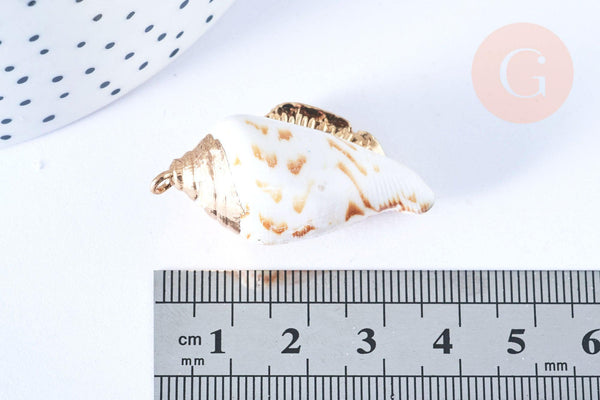 EP Pendentif coquillage naturel spirale doré 33-47mm, pendentif création bijoux coquillage, x1 G7161