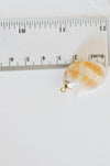 EP Pendentif coquillage naturel spirale doré, fourniture créative, pendentif doré, création bijoux, coquillage bijou,coquillage or, 30-35mm G5140