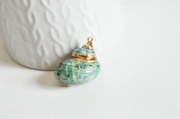EP Pendentif coquillage naturel vert doré 25mm-G0609
