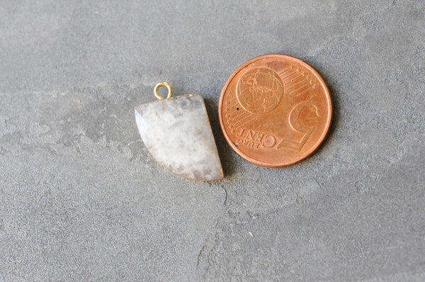 EP Pendentif corne pierre de lune naturelle 20.5mm x1 G6310