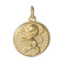 EP Pendentif médaille rondes lion acier doré, les 28G1673
