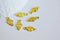 EP Pendentifs connecteurs ronds laiton doré,fournitures créatives,connecteurs doré,sans nickel, création bijoux, x 10, 16mm-G642