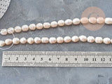 EP Perle naturelle blanche ovale eau douce 8-14mm, perle de culture percée , le fil de 35 cm, x1 G1937