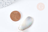 EP Perle ovale nacre marron naturelle, perle nacre carré,nacre naturelle, coquillage marron, 23-34mm,x5 G3829