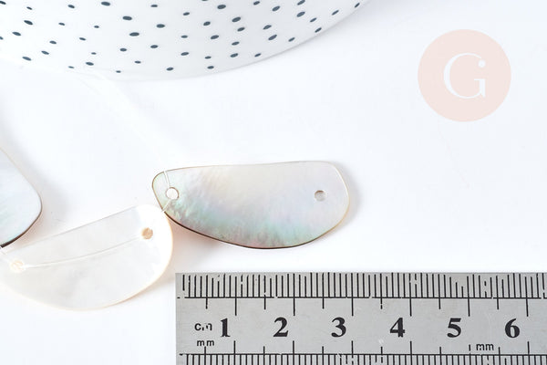 EP Perle ovale nacre marron naturelle, perle nacre carré,nacre naturelle, coquillage marron, 23-34mm,x5 G3829