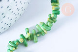 EP Perles bambou de mer naturel teinté vert,perles imitation corailcoquillage vert,fil 38cm-G0991 (adn)