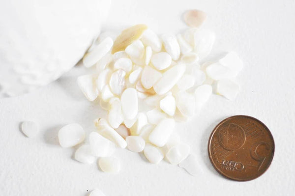 EP Sable coquillage nacre naturelle 7.5-13mm non percé, Sachet 20 grammes G0256