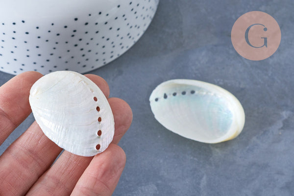 EP coquillage naturel blanc nacré HALIOTIS ASININA 50-70mm, bijou coquillage naturel, x1 (G4163)