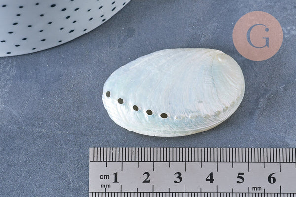 EP coquillage naturel blanc nacré HALIOTIS ASININA 50-70mm, bijou coquillage naturel, x1 (G4163)