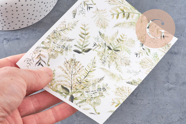 Feuille de transfert polymère – Motif Feuilles fougères clair 14x10 cm, x1 (G10775)
