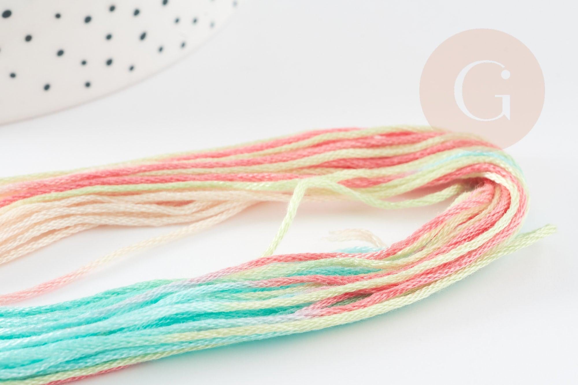 Fil à broder polyester dégradé rose turquoise 0.5mm, fil original, pour bracelet brésilien, fil à broder ou scrapbooking, x8 mètres G9357