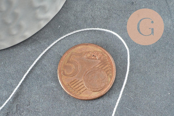 Fil blanc nylon pour broderie couture bijoux 0.8mm, x 10 mètres (G1621)