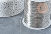Fil d'acier 304 inoxydable platine argenté 0.6mm, x1 mètre, (G8846)