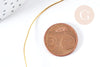Fil d'acier doré 304 inoxydable IP 0.8mm, x1 mètre (G8373)