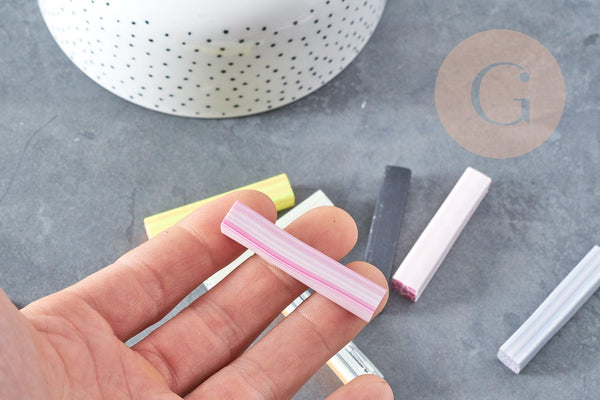 Lot canes polymère carrées mélangées 50mm motif animal, x5 (G8902)